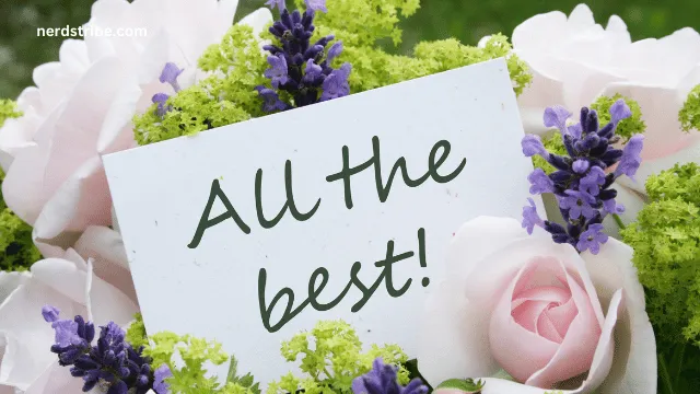 10 Other Ways to Say “All the Best”