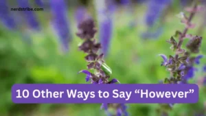 10 Other Ways to Say “However”