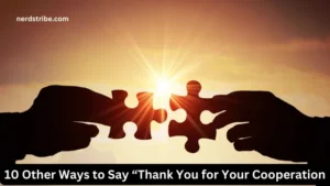 10 Other Ways to Say “Thank You for Your Cooperation